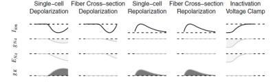 Identifiability of Cardiac Electrophysiology Models