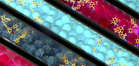 Biocompatibility and Toxicology