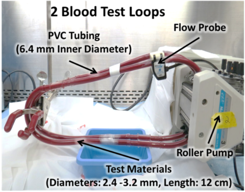 2 Blood Test Loops