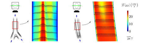 IVC-PIV-RST_catalog-image