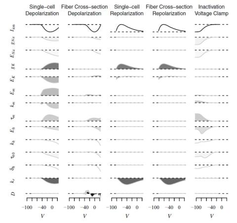 Identifiability of Cardiac Electrophysiology Models