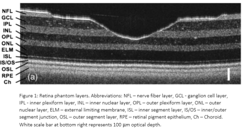 Retina phantom layers